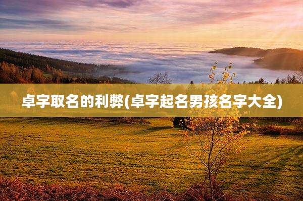 卓字取名的利弊(卓字起名男孩名字大全)