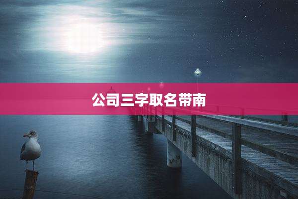 公司三字取名带南