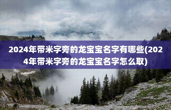 2024年带米字旁的龙宝宝名字有哪些(2024年带米字旁的龙宝宝名字怎么取)