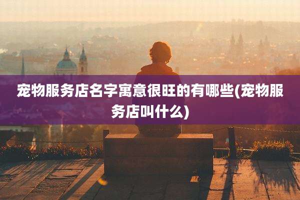 宠物服务店名字寓意很旺的有哪些(宠物服务店叫什么)