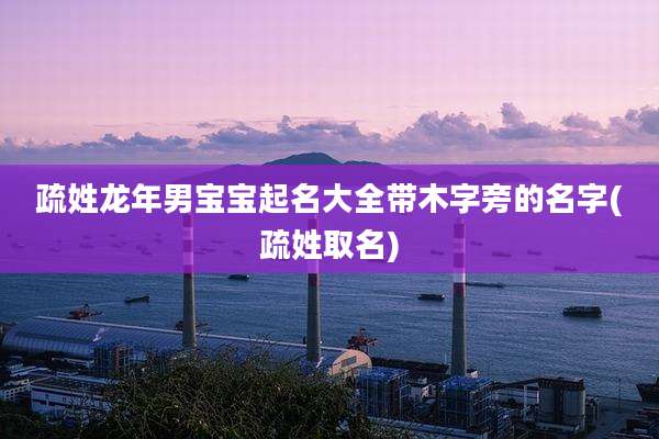 疏姓龙年男宝宝起名大全带木字旁的名字(疏姓取名)