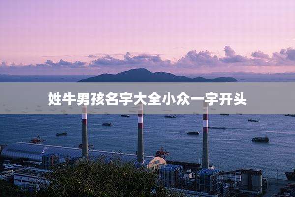 姓牛男孩名字大全小众一字开头