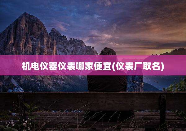 机电仪器仪表哪家便宜(仪表厂取名)