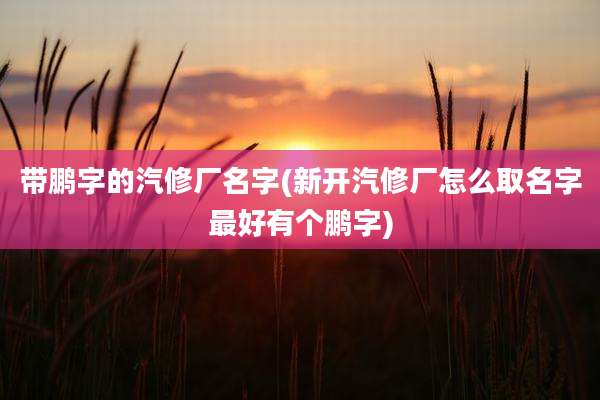 带鹏字的汽修厂名字(新开汽修厂怎么取名字最好有个鹏字)