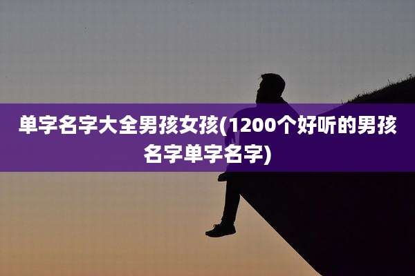 单字名字大全男孩女孩(1200个好听的男孩名字单字名字)