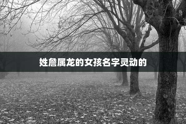 姓詹属龙的女孩名字灵动的