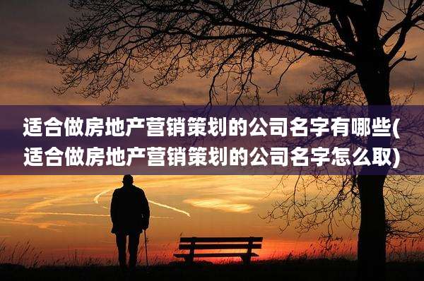 适合做房地产营销策划的公司名字有哪些(适合做房地产营销策划的公司名字怎么取)