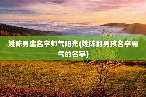 姓陈男生名字帅气阳光(姓陈的男孩名字霸气的名字)