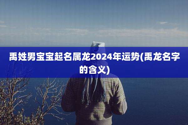 禹姓男宝宝起名属龙2024年运势(禹龙名字的含义)
