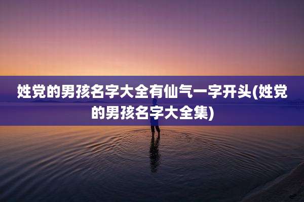 姓党的男孩名字大全有仙气一字开头(姓党的男孩名字大全集)