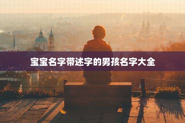 宝宝名字带述字的男孩名字大全
