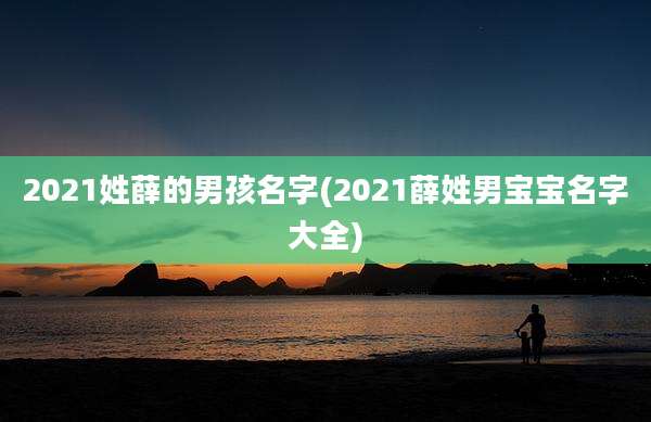 2021姓薛的男孩名字(2021薛姓男宝宝名字大全)