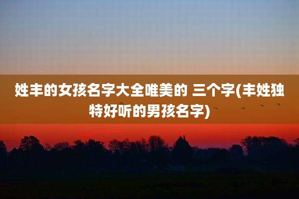 姓丰的女孩名字大全唯美的 三个字(丰姓独特好听的男孩名字)