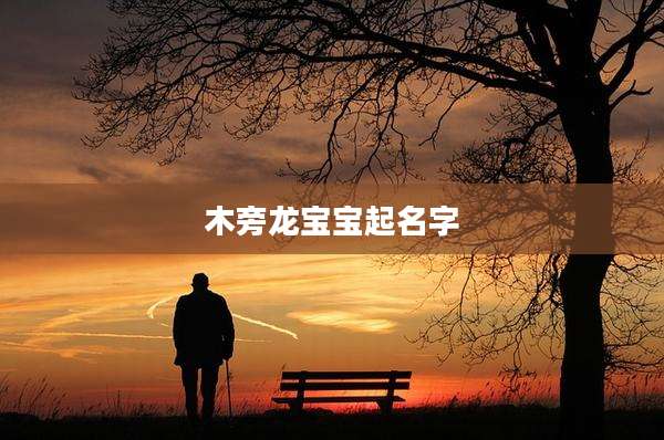 木旁龙宝宝起名字
