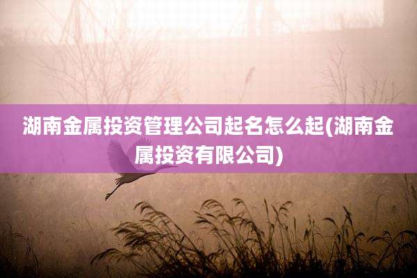 湖南金属投资管理公司起名怎么起(湖南金属投资有限公司)
