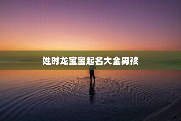 姓时龙宝宝起名大全男孩