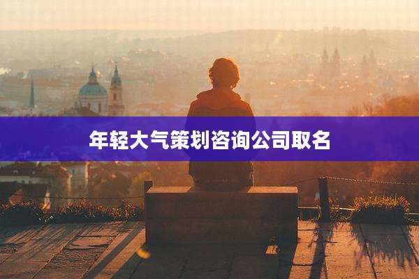 年轻大气策划咨询公司取名