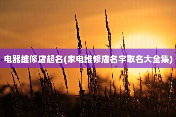 电器维修店起名(家电维修店名字取名大全集)