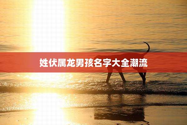 姓伏属龙男孩名字大全潮流