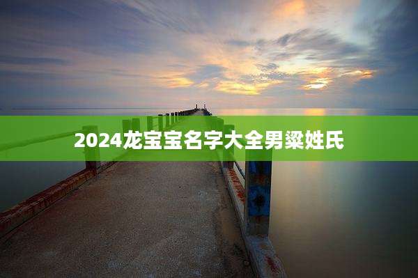 2024龙宝宝名字大全男粱姓氏