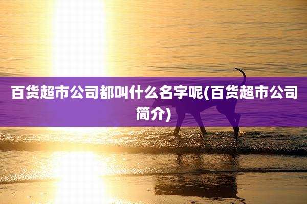 百货超市公司都叫什么名字呢(百货超市公司简介)