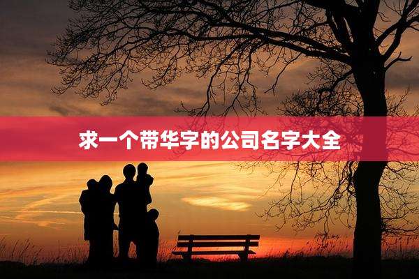求一个带华字的公司名字大全