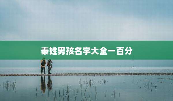 秦姓男孩名字大全一百分
