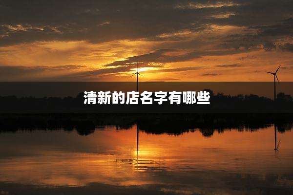 清新的店名字有哪些