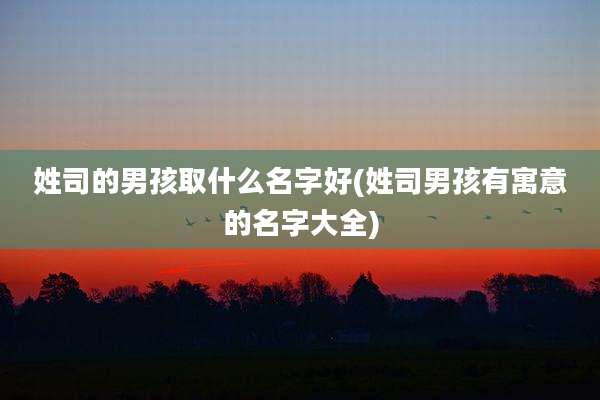 姓司的男孩取什么名字好(姓司男孩有寓意的名字大全)