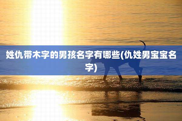 姓仇带木字的男孩名字有哪些(仇姓男宝宝名字)