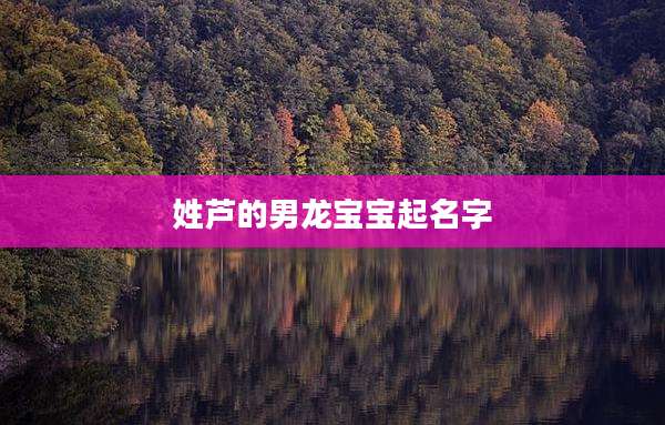 姓芦的男龙宝宝起名字
