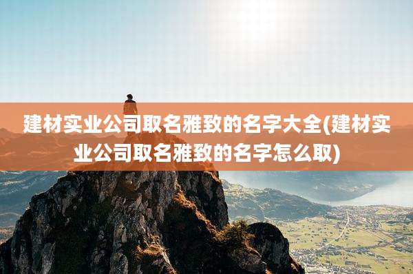 建材实业公司取名雅致的名字大全(建材实业公司取名雅致的名字怎么取)