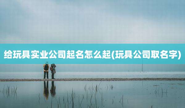 给玩具实业公司起名怎么起(玩具公司取名字)