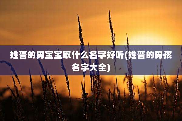 姓普的男宝宝取什么名字好听(姓普的男孩名字大全)