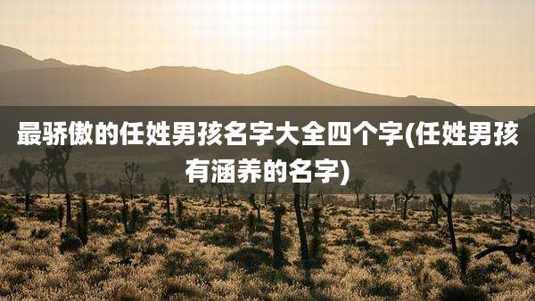 最骄傲的任姓男孩名字大全四个字(任姓男孩有涵养的名字)
