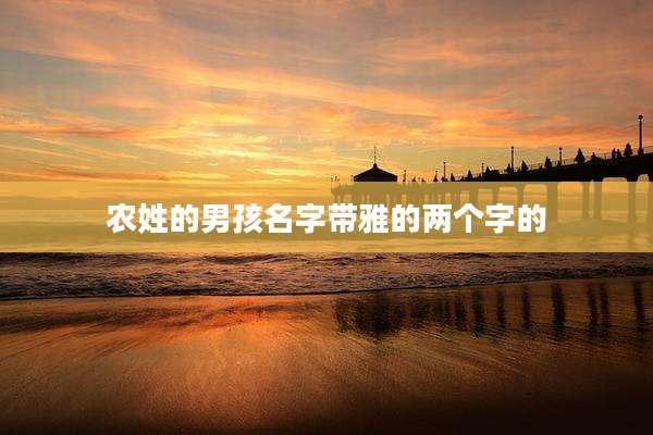 农姓的男孩名字带雅的两个字的