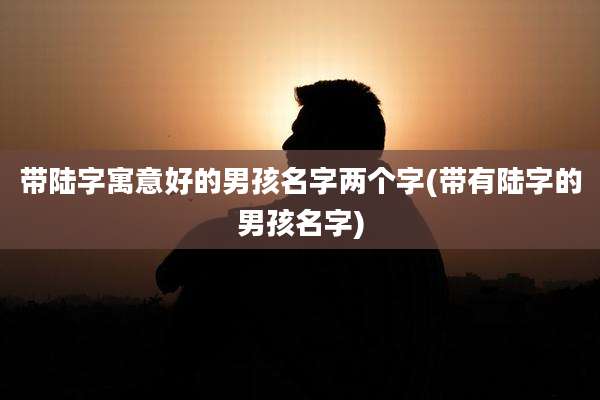 带陆字寓意好的男孩名字两个字(带有陆字的男孩名字)