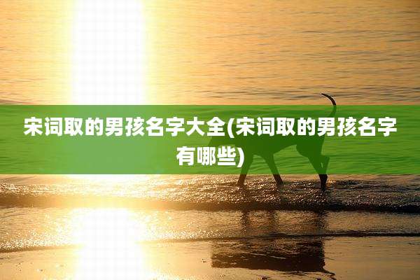 宋词取的男孩名字大全(宋词取的男孩名字有哪些)