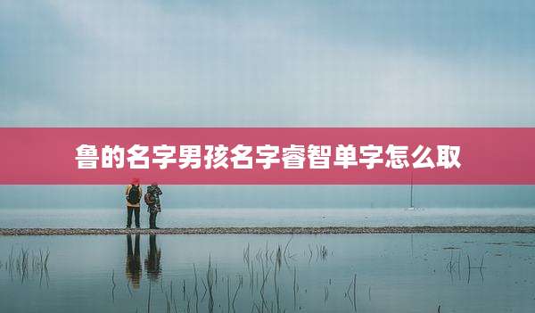 鲁的名字男孩名字睿智单字怎么取
