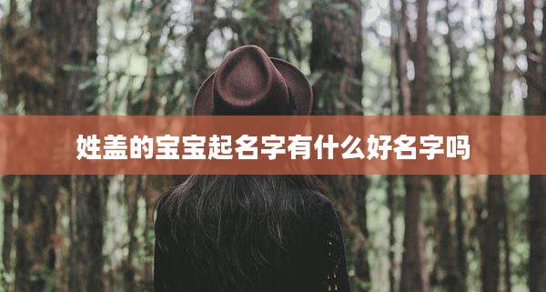 姓盖的宝宝起名字有什么好名字吗
