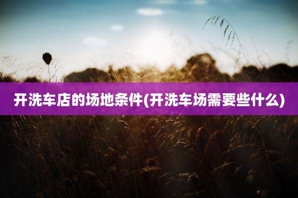 开洗车店的场地条件(开洗车场需要些什么)