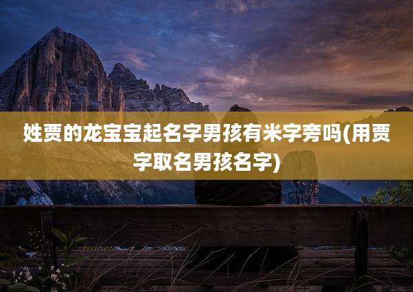 姓贾的龙宝宝起名字男孩有米字旁吗(用贾字取名男孩名字)
