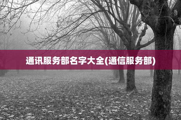 通讯服务部名字大全(通信服务部)