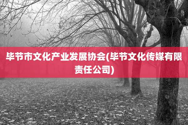 毕节市文化产业发展协会(毕节文化传媒有限责任公司)