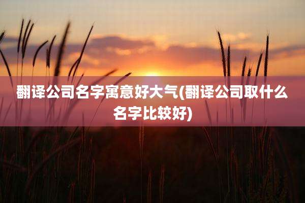 翻译公司名字寓意好大气(翻译公司取什么名字比较好)