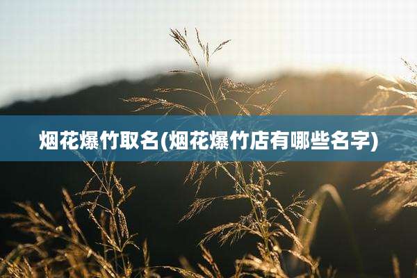 烟花爆竹取名(烟花爆竹店有哪些名字)
