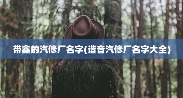 带鑫的汽修厂名字(谐音汽修厂名字大全)
