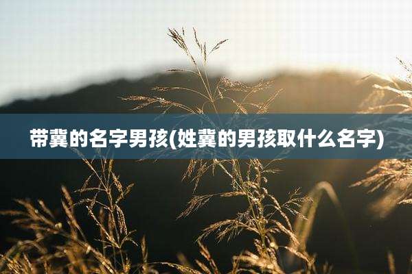 带冀的名字男孩(姓冀的男孩取什么名字)