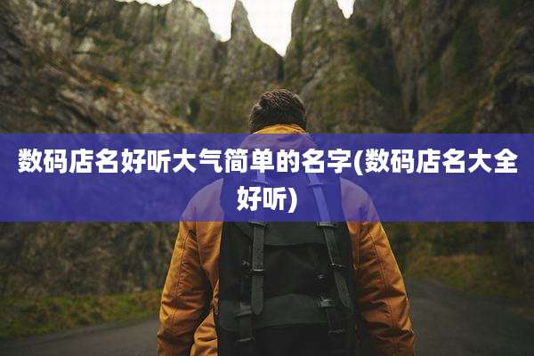 数码店名好听大气简单的名字(数码店名大全好听)