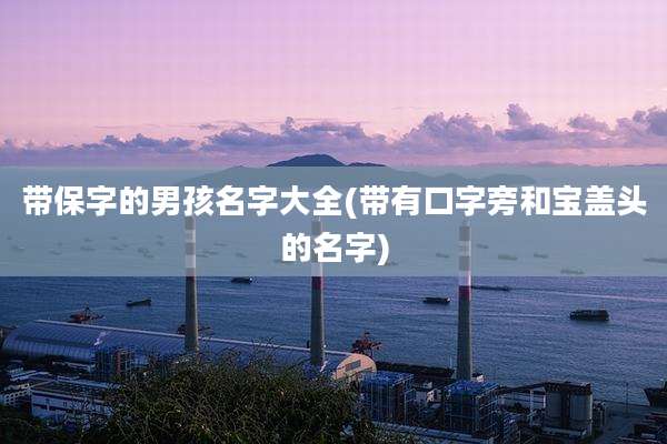带保字的男孩名字大全(带有口字旁和宝盖头的名字)